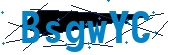 recaptcha