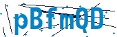 recaptcha