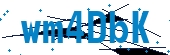 recaptcha