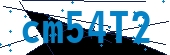 recaptcha